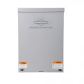 Briggs & Stratton 71212 100 Amp NEMA 3R Automatic Transfer Switch with 16 Circuit Load Center